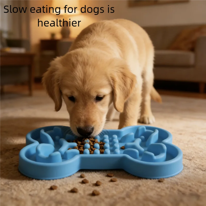 Mindful Enrichment