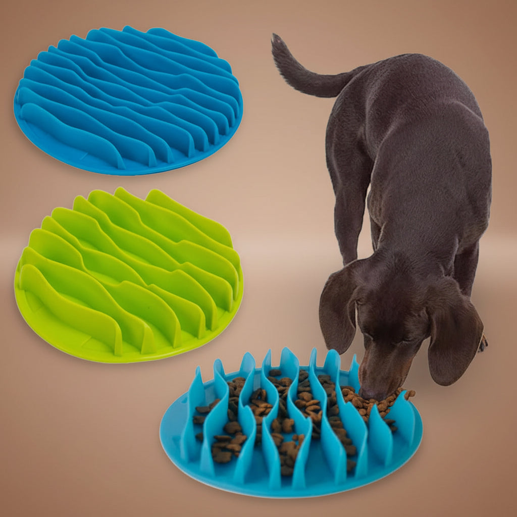 Slow Feeder Jungle Design