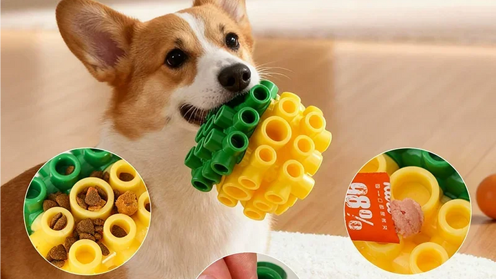 Mindful Enrichment