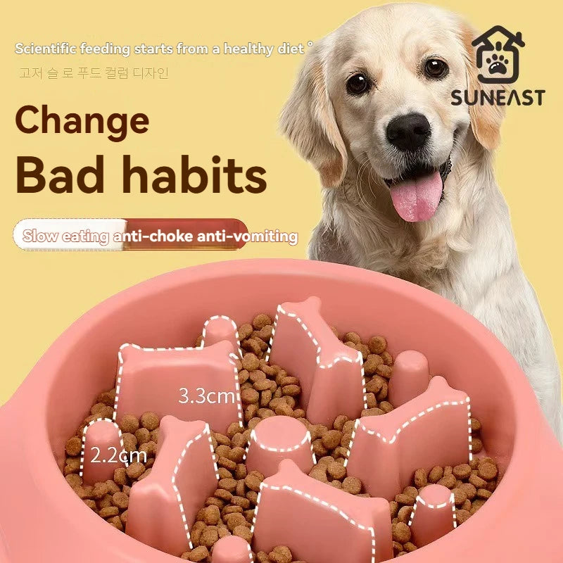 Pet Food Bowl, Environmentally Friendly